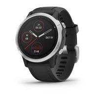 Спортивний годинник Garmin Fenix 6S Silver with Black Band 010-02159-01