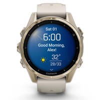 Смарт-годинник Garmin Fenix 8 Amoled 43 мм Sapphire Fog Grey 010-02903-11